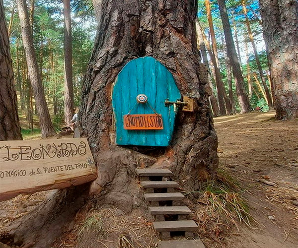 Bosque Mágico