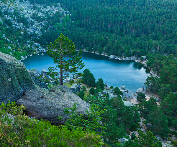 Laguna Negra